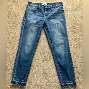 LILA RYAN Castro Size 29 Raw Hem Skinny Blue Jeans